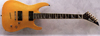 Charvel Model SLA 160 HH